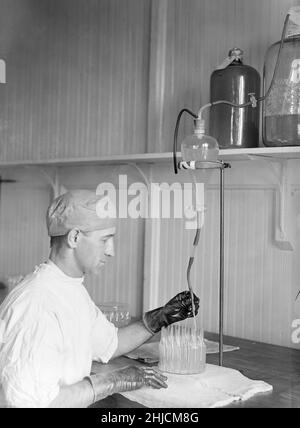 Herstellung von Typhus-Impfstoff an der medizinischen Fakultät der US-Armee. Harris & Ewing, 1917. Stockfoto