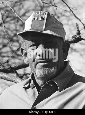 John Steinbeck (1902 - 1968), amerikanischer Autor und Nobelpreisträger (1962). Steinbeck ist bekannt für Romane wie "von Mäusen und Menschen", "die Trauben des Zorns" und "östlich von Eden". Fotografiert in seinem Haus am Bluff Point in Sag Harbor, Long Island, New York, 1961. Stockfoto