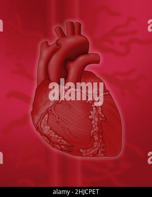 Konzeptuelles Bild des menschlichen Herzens auf einem farbenfrohen Hintergrund. Stockfoto