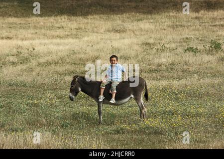 Kind auf einem Esel im ländlichen Raum der Türkei Stockfoto