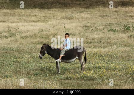 Kind auf einem Esel im ländlichen Raum der Türkei Stockfoto