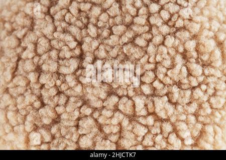 Beige Wolle Hintergrund, natürliche Schaffell Nahaufnahme. Draufsicht Stockfoto