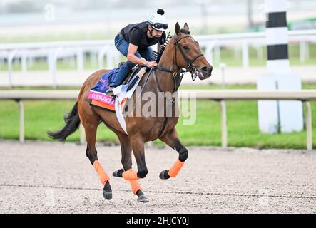 Hallandale Beach, FL, USA. 28th Januar 2022. 28. Januar 2022: Kommandoübungen während der Pegasus World Cup Invitational Week im Gulfstream Park in Hallandale Beach, Florida. Scott Serio/Eclipse Sportswire/CSM/Alamy Live News Stockfoto