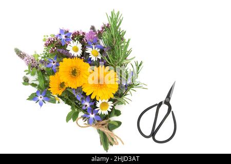 Heilkräuter, Blumen und Wildblumen in einem Bund gebunden. Kräutermedizin, Würze und Dekoration von Lebensmitteln. Vorbereitung für die natürliche Gesundheitsversorgung. Stockfoto