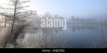 Gaillères, Etang de Massy en hiver Stockfoto