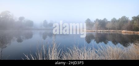 Gaillères, Etang de Massy en hiver Stockfoto