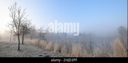 Gaillères, Etang de Massy en hiver Stockfoto