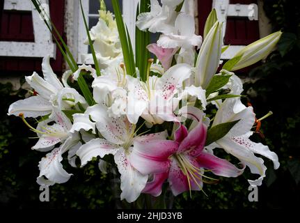 Bouquet de lys blancs et roses Stockfoto