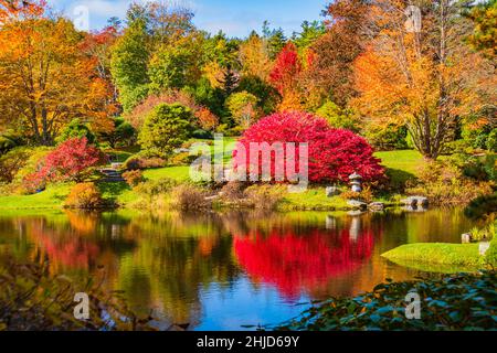 Die Asticou Azalea Gardens auf Mount Desert Island, Maine im Herbst Stockfoto