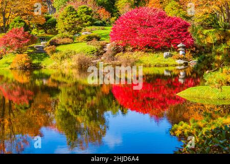 Die Asticou Azalea Gardens auf Mount Desert Island, Maine im Herbst Stockfoto