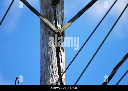 Nahaufnahme der Oberseite eines Strommastes, der durch einen losen Draht verbrannt wurde. Stockfoto