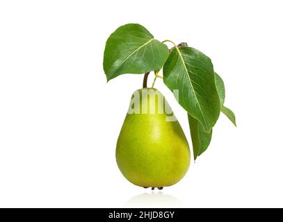 Reife süße Birne mit isolierten Blättern auf weißem Hintergrund Stockfoto
