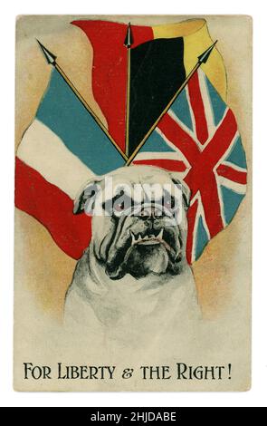 Original Comic-Cartoon-Postkarte aus der Zeit WW1 mit einer Bulldogge mit belgischer, französischer und britischer Flagge dahinter, auf der Karte steht „für Freiheit und die Rechte“. Großbritannien um 1914. Stockfoto
