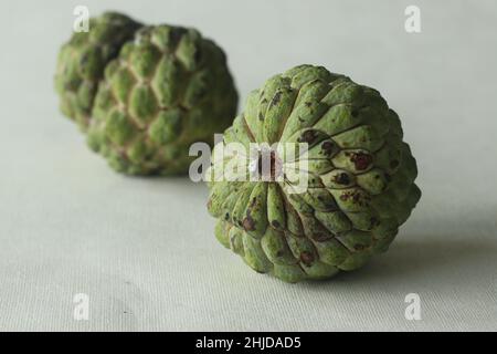 Pudding Apfel. Die Frucht der Familie Cherimoya mit der grünen und ledrigen Haut. Es hat weißes cremiges und süßes Fleisch im Inneren. Aufgenommen auf weißem Hintergrund Stockfoto