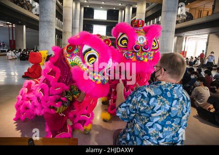 Lange Qian Drachen- und Löwentanzcrews führen einen Löwentanz an der Hochschule für Musik in Nakhon Pathom auf.der Drachentanz ist eine traditionelle chinesische Aufführung, die während des chinesischen Neujahrs aufgeführt wird und auch wichtig für Thai-Chinesen ist, die Drachen- und Löwentanzgruppen einstellen, um bei der Tanzgruppe zu spielen Ihre Plätze, da es viel Glück und Unterhaltung bringt. Long Qian Thailand Drachen- und Löwentanzgruppe ist eine Tanzgruppe in Thailand, die in der Wat Nuannoradit Schule praktiziert und Jugendliche im Bang Khae Bezirk versammelt, um als Drachen- und Löwentanzcrew zu trainieren und dem Teenager auch Anreize zu geben Stockfoto