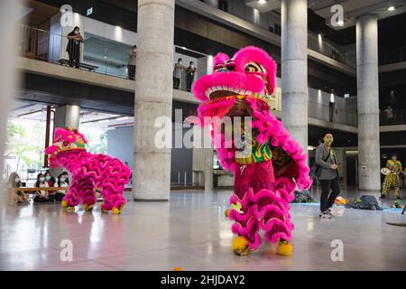 Lange Qian Drachen- und Löwentanzcrews führen einen Löwentanz an der Hochschule für Musik in Nakhon Pathom auf.der Drachentanz ist eine traditionelle chinesische Aufführung, die während des chinesischen Neujahrs aufgeführt wird und auch wichtig für Thai-Chinesen ist, die Drachen- und Löwentanzgruppen einstellen, um bei der Tanzgruppe zu spielen Ihre Plätze, da es viel Glück und Unterhaltung bringt. Long Qian Thailand Drachen- und Löwentanzgruppe ist eine Tanzgruppe in Thailand, die in der Wat Nuannoradit Schule praktiziert und Jugendliche im Bang Khae Bezirk versammelt, um als Drachen- und Löwentanzcrew zu trainieren und dem Teenager auch Anreize zu geben Stockfoto