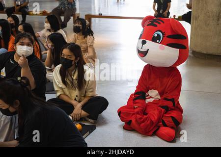 Lange Qian Drachen- und Löwentanzcrew in einem Tiger Maskottchen Kostüm am College of Music in Nakhon Pathom gesehen.der Drachentanz ist eine traditionelle chinesische Darbietung, die während des chinesischen Neujahrs aufgeführt wird und auch wichtig für Thai-Chinesen ist, die Drachen und Löwen Drachen Tanzgruppe anheuern Treten Sie an ihren Orten auf, da es viel Glück und Unterhaltung bringt. Long Qian Thailand Drachen- und Löwentanzgruppe ist eine Tanzgruppe in Thailand, die in der Wat Nuannoradit Schule praktiziert und Jugendliche rund um den Bang Khae Bezirk versammelt, um als Drachen- und Löwentanzcrew zu trainieren und auch Anreize für die zu geben Stockfoto