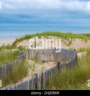 Sanddünen bei Agon-Coutainville in der Normandie, mit einer Holzbarriere, nach dem Gewitter Stockfoto