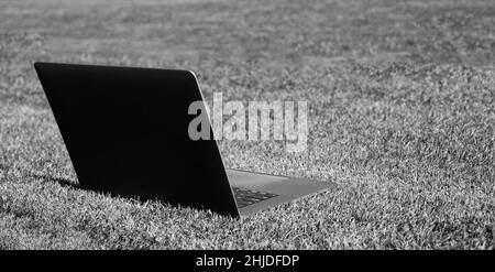 Laptop auf grünem Gras im Freien für Online-Arbeit, Kopierplatz, agiles Geschäft Stockfoto
