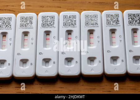 Viele positive Covid-19 NHS-Schnelltests für den lateralen Fluss zu Hause Stockfoto
