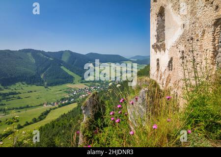 Mauer der Ruinen einer mittelalterlichen Burg Lietava über der umliegenden Landschaft, in der Nähe Zilina Stadt, Slowakei, Europa. Stockfoto