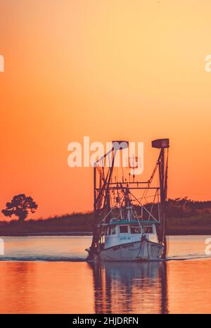 Nach einem langen Tag auf dem Wasser, dem 4. Oktober 2014, in Bayou La Batre, Alabama, fährt ein Garnelenboot aus Holz mit dem Namen Empty Pockets nach Hause. Stockfoto