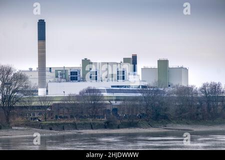 Verlassene Industrieanlage. Die Stag Brewery Reentwicklungsstätte und die Themse. Ehemals Anheuser Busch Budweiser Brauerei, Mortlake, London Stockfoto