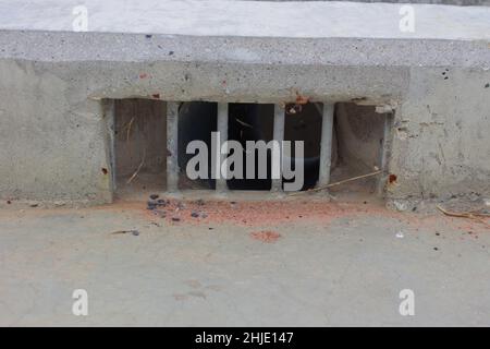 Kanalisation Rost Stockfoto