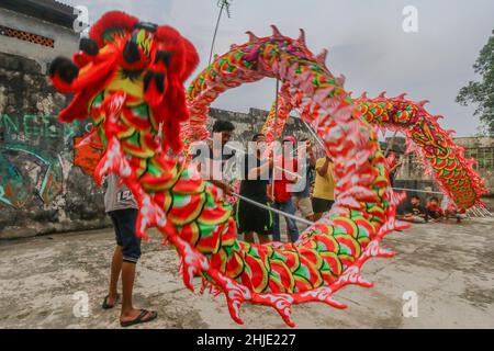 Tänzer üben die traditionelle „Barongsai“-Tanzvorstellung in Bogor, Indonesien, am 27. Januar 2022, um das chinesische Neujahr zu feiern Stockfoto