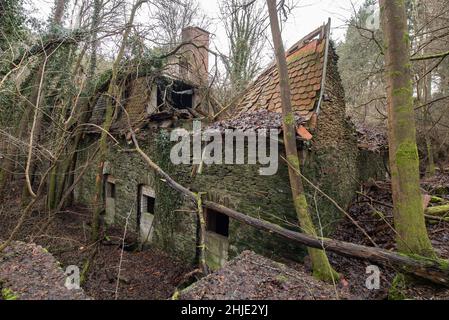 Langenhain Ziegenberg, Deutschland. 18th Januar 2022. Fast vollständig eingestürzt ist dieses Gebäude, das früher von der Wehrmacht am Eingang zum ehemaligen Führerhauptquartier Adlerhorst im Wald bei Langenhain-Ziegenberg genutzt wurde. Der semi-unterirdische Bunkerkomplex wurde oft vergessen. Quelle: Boris Roessler/dpa/Alamy Live News Stockfoto