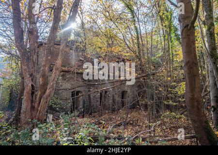 Langenhain Ziegenberg, Deutschland. 18th Januar 2022. Fast vollständig eingestürzt ist dieses Gebäude, das früher von der Wehrmacht am Eingang zum ehemaligen Führerhauptquartier Adlerhorst im Wald bei Langenhain-Ziegenberg genutzt wurde. Der semi-unterirdische Bunkerkomplex wurde oft vergessen. Quelle: Boris Roessler/dpa/Alamy Live News Stockfoto