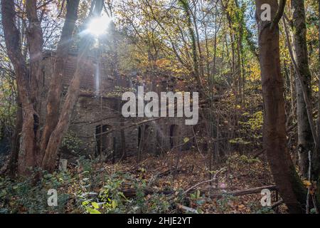 Langenhain Ziegenberg, Deutschland. 18th Januar 2022. Fast vollständig eingestürzt ist dieses Gebäude, das früher von der Wehrmacht am Eingang zum ehemaligen Führerhauptquartier Adlerhorst im Wald bei Langenhain-Ziegenberg genutzt wurde. Der semi-unterirdische Bunkerkomplex wurde oft vergessen. Quelle: Boris Roessler/dpa/Alamy Live News Stockfoto