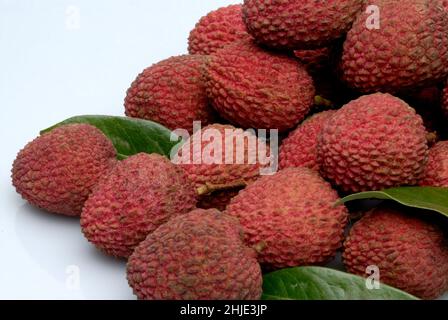 Mumbai Indien Juni. 06 2008 - Nahaufnahme eines Bündels rot reifer Litchis mit Blättern auf weißem Hintergrund. Stockfoto