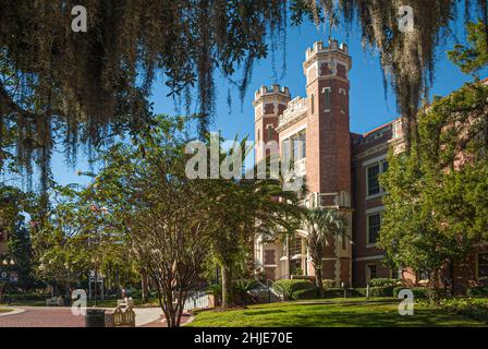 Das Wescott-Gebäude der Florida State University auf dem FSU-Campus in Tallahassee, Florida. (USA) Stockfoto