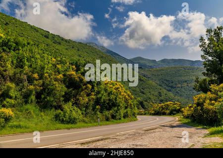 Blick auf die schroffen grünen Berge mit tief hängenden Wolken in der Nähe des Skadar-Nationalparks in Montenegro Stockfoto