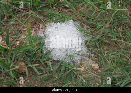 Trockenmittel-Kieselgel auf Grashintergrund Stockfoto