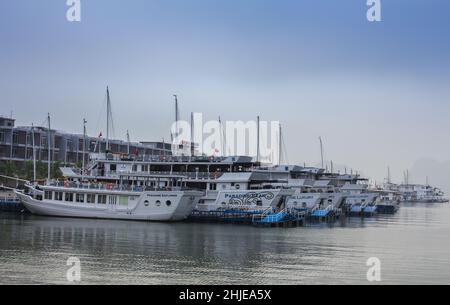 Halong Bay, Vietnam - 12. Dez 2015: Weiße Touristenboote vertäuten in der Halong Bay in der morgendlichen Wintersonne. Stockfoto