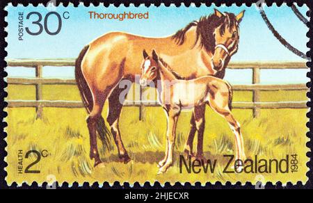 NEUSEELAND - UM 1984: Eine in Neuseeland gedruckte Marke aus den 'Health Stamps. Die Ausgabe von Horses zeigt Vollblut, um 1984. Stockfoto