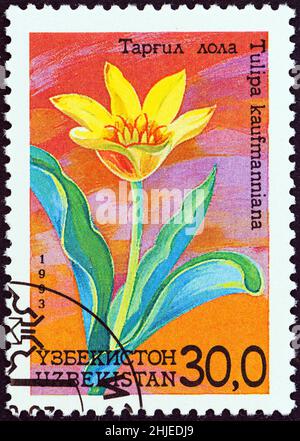 USBEKISTAN - UM 1993: Eine in Usbekistan gedruckte Marke aus der 'Blumen'-Ausgabe zeigt Tulipa kaufmanniana, um 1993. Stockfoto