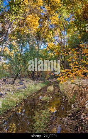 Bonita Creek, Straßenüberquerung 4WD, in der Nähe des Gila River Confluence, Gila Box Riparian National Conservation Area, in der Nähe von Safford, Arizona, USA Stockfoto