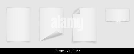Leere Papiervorlage. Realistisches A4 Mockup mit gewellter Ecke auf dem Hintergrund mit Schatten. Halb zerrissene Seite. Isolierter Vektor-Illustrator. Stock Vektor