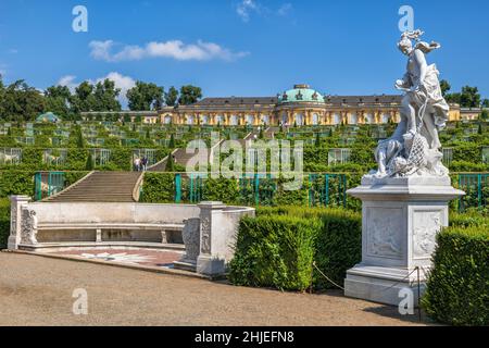 Potsdam, Schloss Sanssouci und Weingärten mit Bank und klassischer Statue im Park Sanssouci. Stockfoto