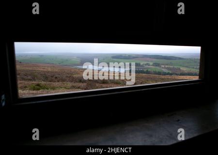 Der Plantagenvögel der Druiden versteckt sich auf dem Swinton Estate in der Nähe von Ripon in North Yorkshire. Das Swinton Estate schützt Wildhüter procativ Stockfoto