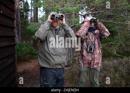 Spielwart Gary Taylor und Stephen Murphy von Natural England halten Ausschau nach Hen Harriers auf dem Swinton Estate, in der Nähe von Ripon in North Yorkshire. Th Stockfoto