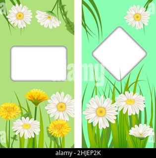 Stellen Sie Frühlingskarten mit Blumenblumen, Dandelionen und Gänseblümchen, Kamillen und Grashintergründen auf. Bunte Frühling vertikale Banner Social-Media-Geschichten Stock Vektor