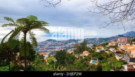 Blick über die Stadt Funchal von den Monte Palace Gardens in Madeira, Portugal Stockfoto