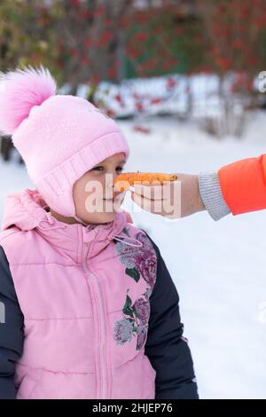 Nahaufnahme einer Frau, die am Abend Karotte an das Gesicht eines kleinen Mädchens klebte, während die Nase auf dem Hinterhof voller Schnee lag und mit Bäumen und Eisenzaun herumspazierte Stockfoto