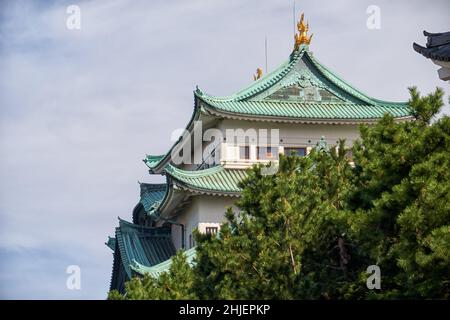 Auf dem Dach des Hauptflatters der Burg Nagoya befinden sich zwei goldene Shachi, die Tigerköpfchen-Delfinskarpfen. Nagoya. Japan Stockfoto