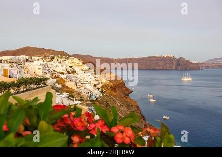 Santorini Insel Urlaub in Griechenland Reise Reisen Oia Stadt Mittelmeer Abend Santorin Blumen Stockfoto