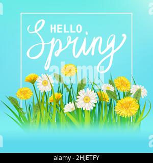 Hello Spring Lettering Template Banner mit frischen Blumen Bouquet Dandelions und Gänseblümchen, Kamillen, Gras. Vektorgrafik. Blumenmuster für Stock Vektor